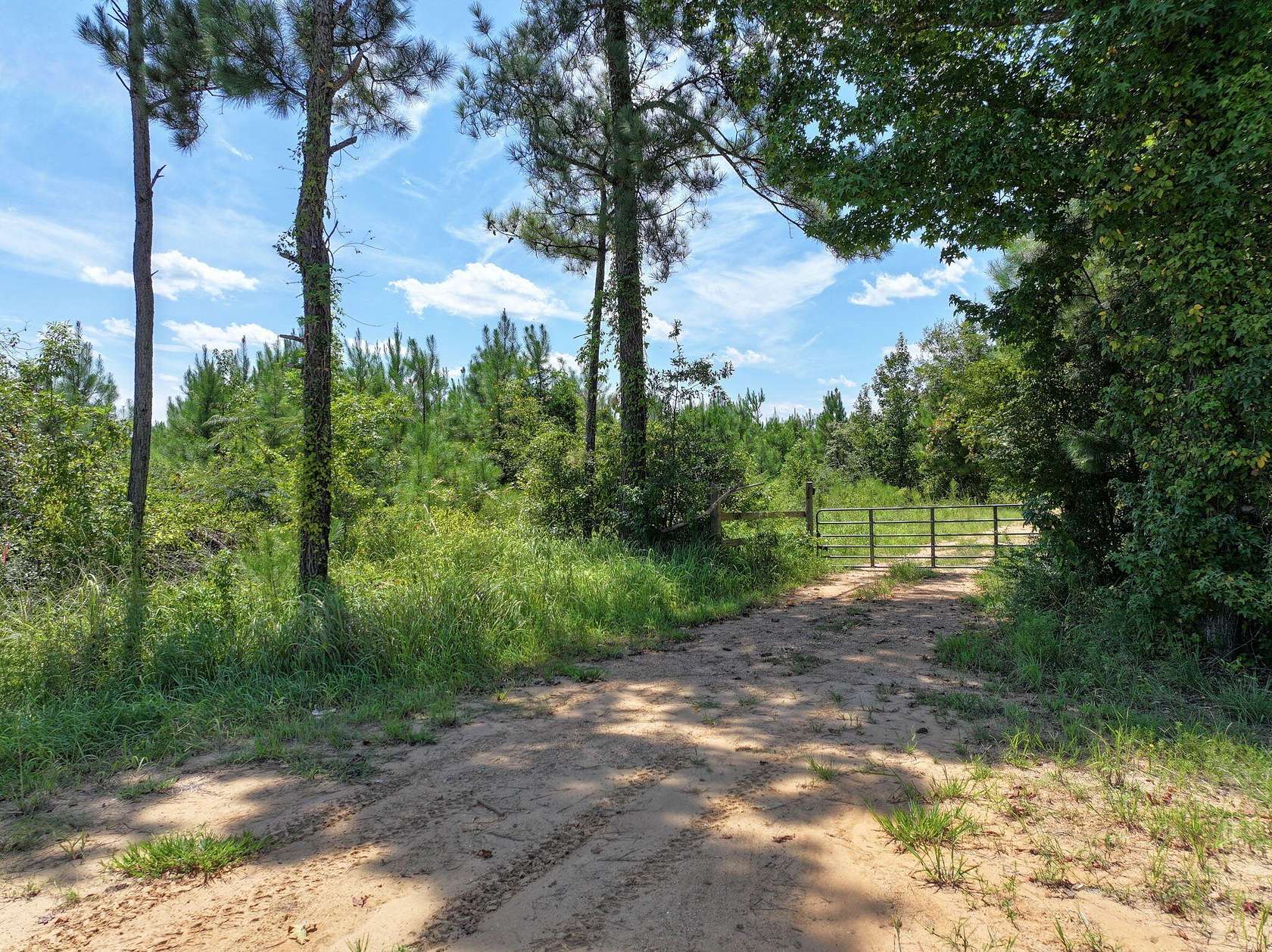 3 Acres of Land for Sale in Petal, Mississippi