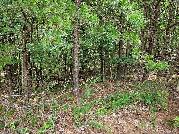 1 Acre of Residential Land for Sale in Pilot Mountain, North Carolina