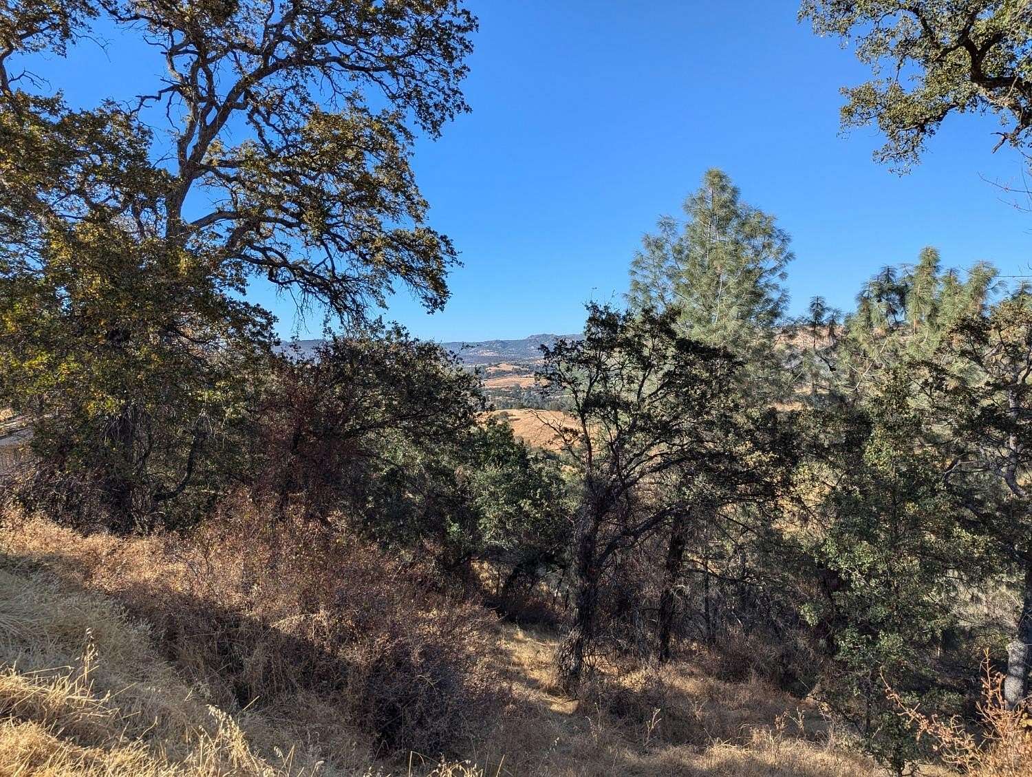 0.41 Acres of Residential Land for Sale in Copperopolis, California