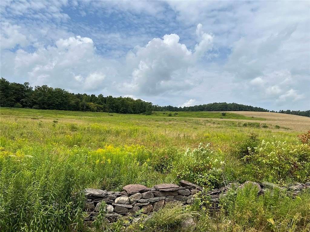 148 Acres of Recreational Land for Sale in Meredith, New York