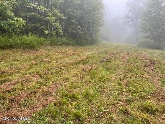 2 Acres of Land for Sale in Rensselaerville, New York