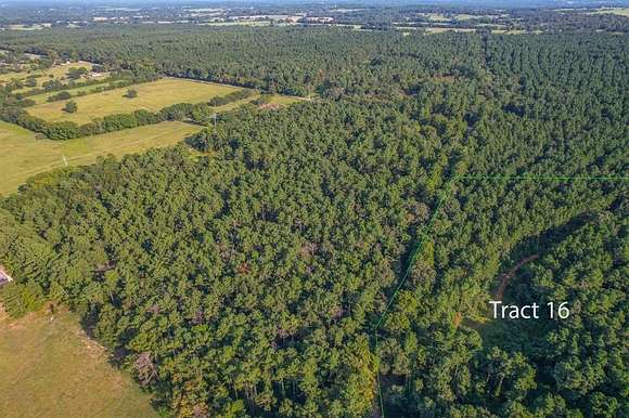 38 Acres of Recreational Land for Sale in Frankston, Texas