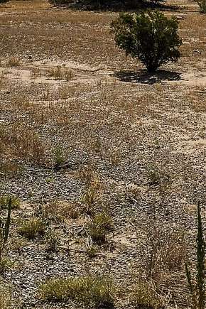 5 Acres of Land for Sale in Terlingua, Texas