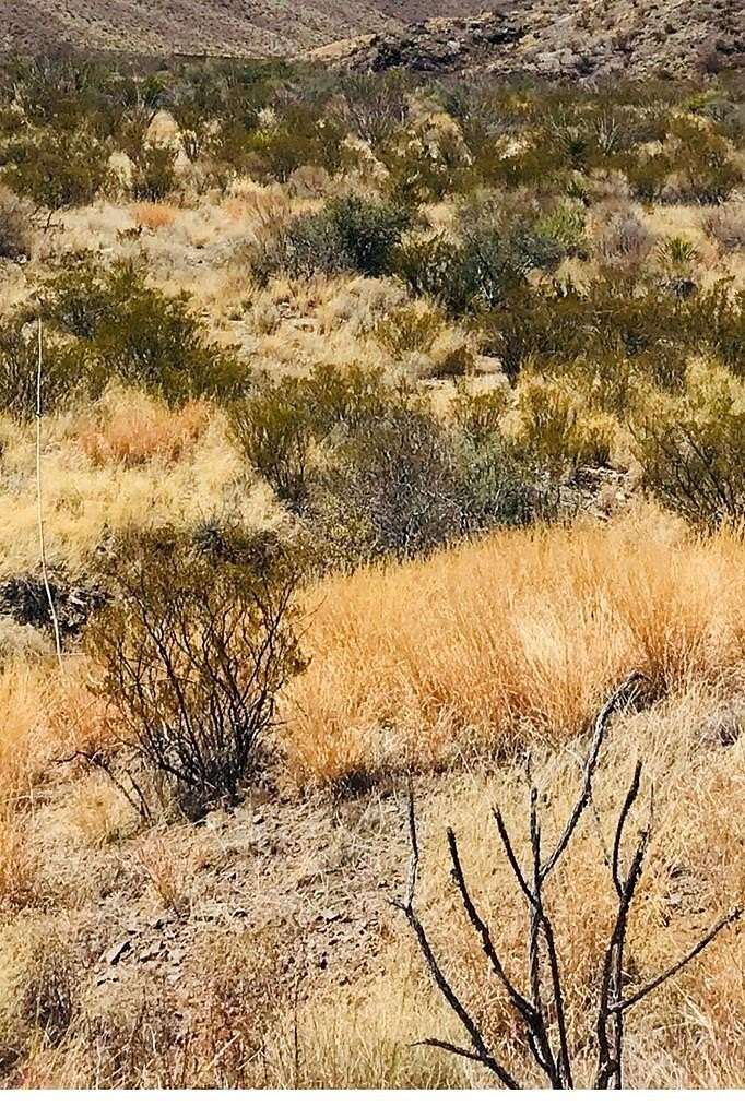 20 Acres of Recreational Land for Sale in Terlingua, Texas