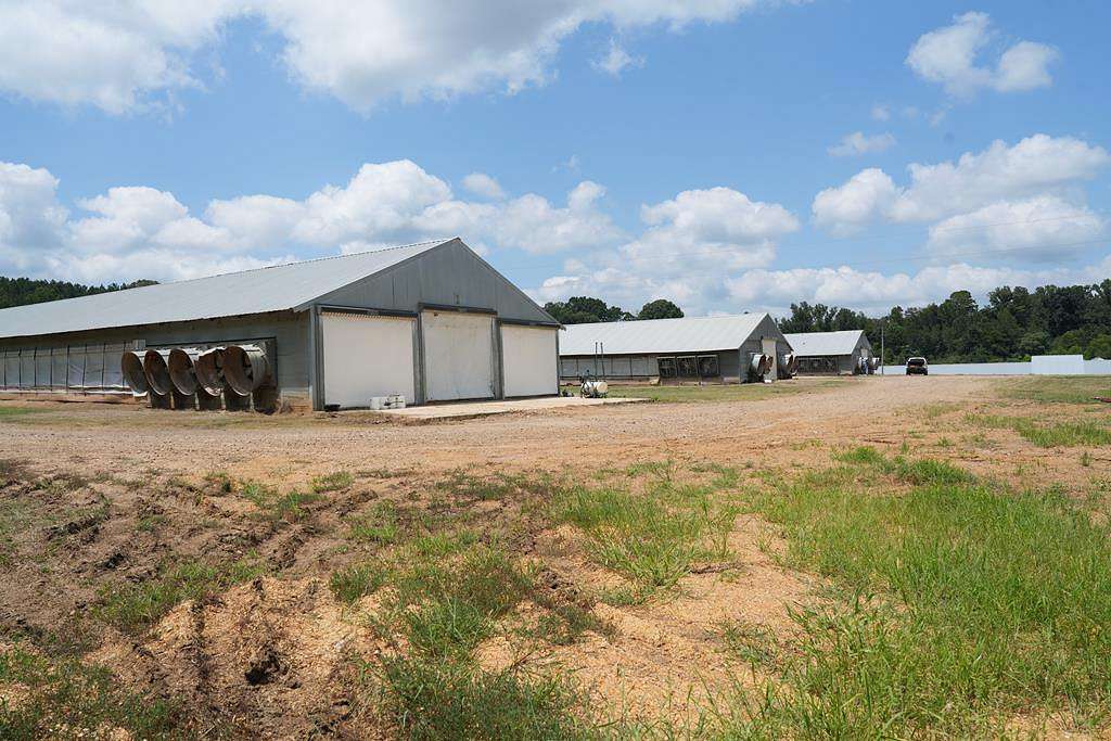 20 Acres of Agricultural Land with Home for Sale in Philadelphia, Mississippi