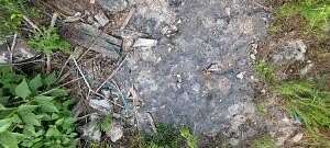 16 Acres of Land for Sale in Western Grove, Arkansas