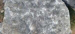 16 Acres of Land for Sale in Western Grove, Arkansas