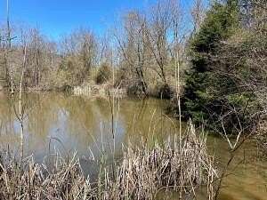 49.05 Acres of Recreational Land for Sale in Green Forest, Arkansas