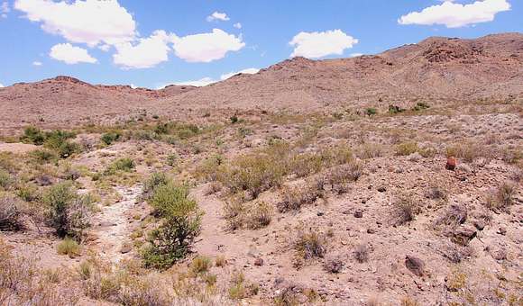 42 Acres of Land for Sale in Dolan Springs, Arizona