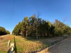 0.35 Acres of Land for Sale in Diamond City, Arkansas