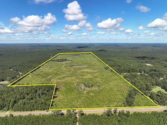 161 Acres of Land for Sale in Spurger, Texas