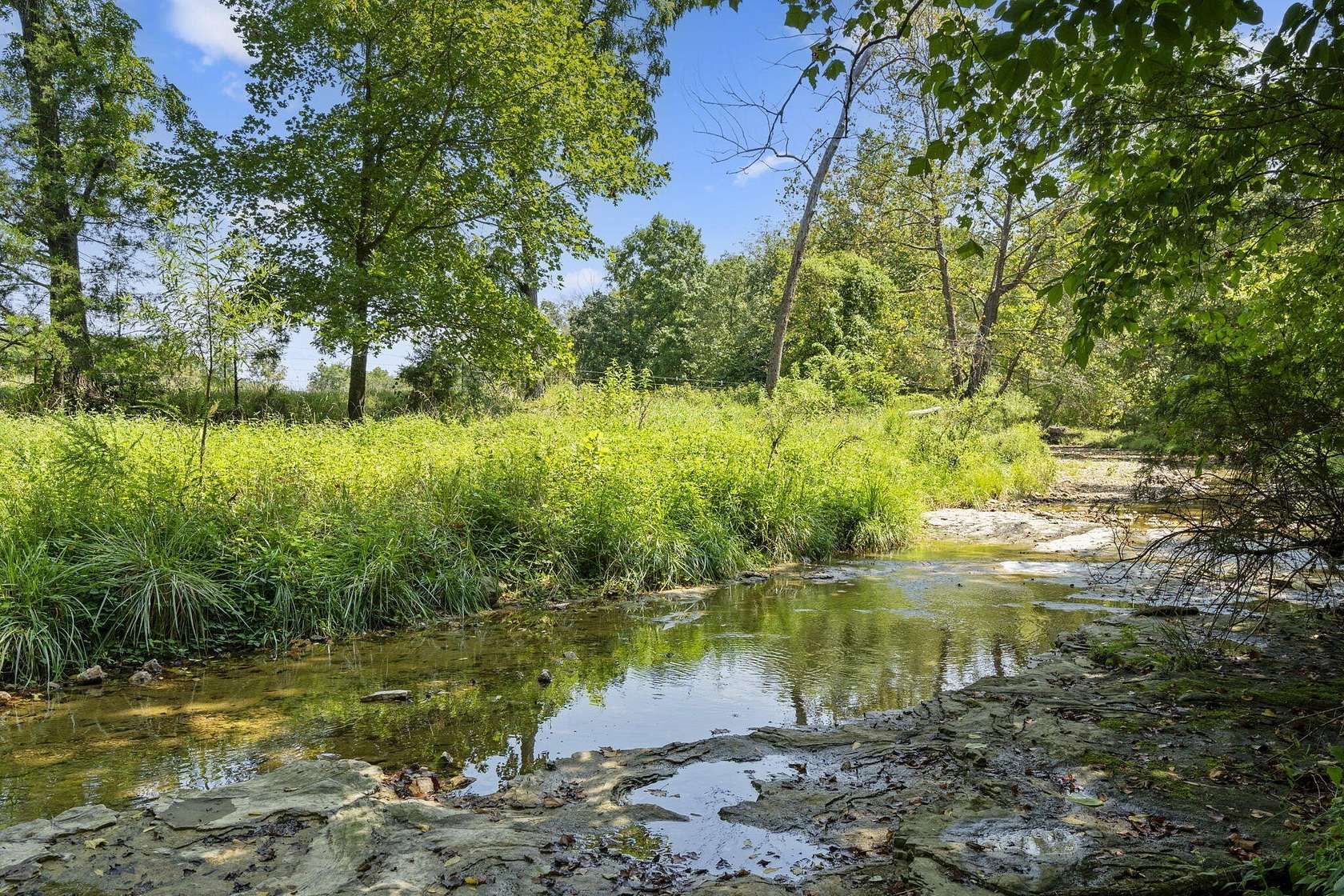 45 Acres of Recreational Land for Sale in Squires, Missouri