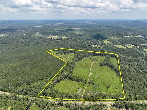 78 Acres of Recreational Land for Sale in Burkeville, Texas