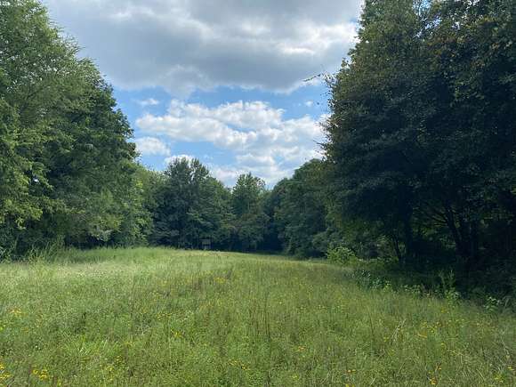 174 Acres of Recreational Land for Sale in Gilbertown, Alabama