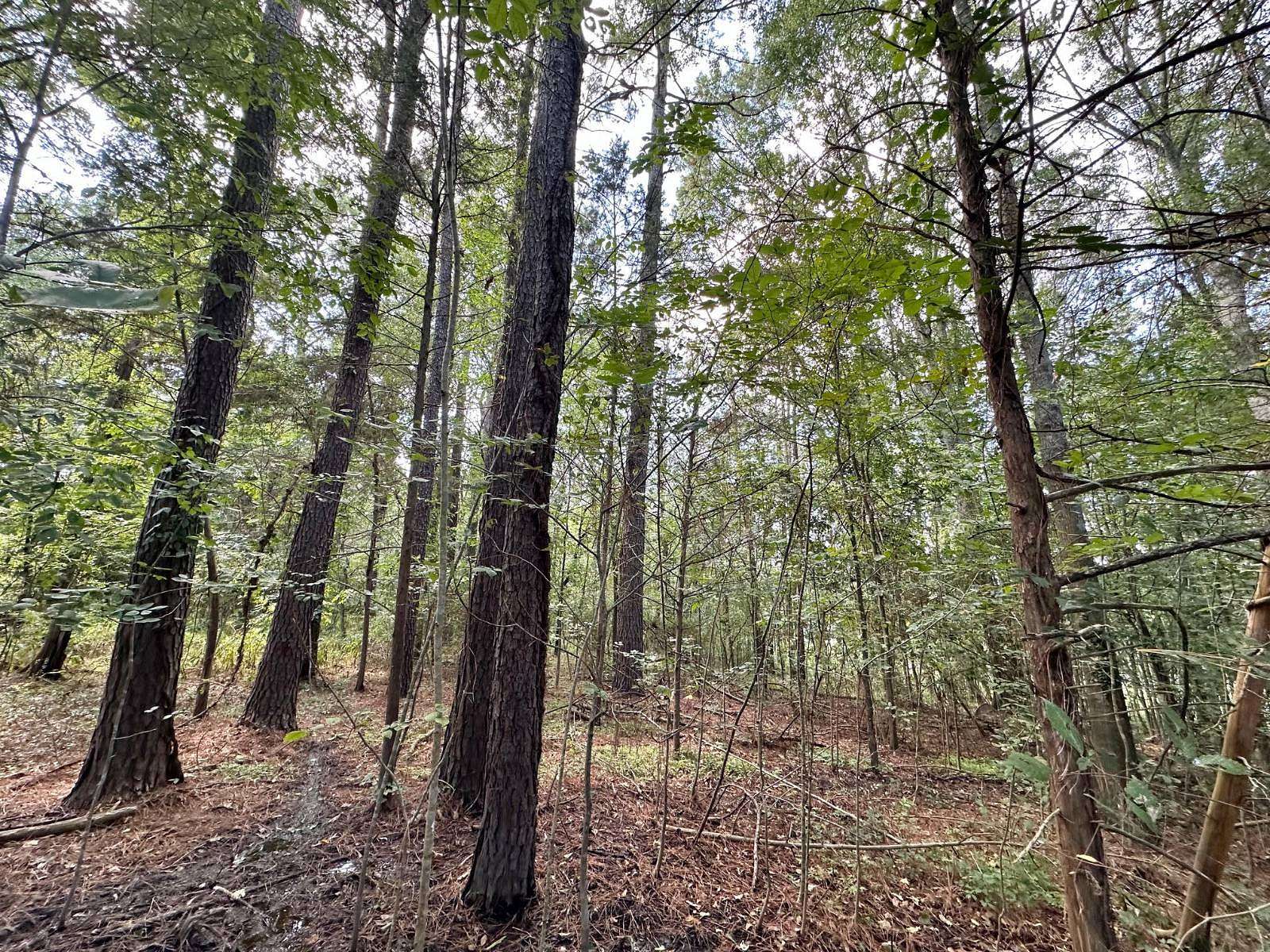 2 Acres of Land for Sale in Raymond, Mississippi