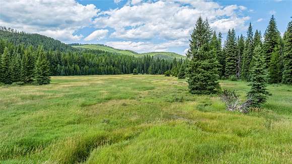 19.68 Acres of Recreational Land for Sale in Kalispell, Montana