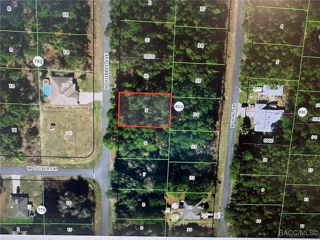 0.23 Acres of Land for Sale in Dunnellon, Florida