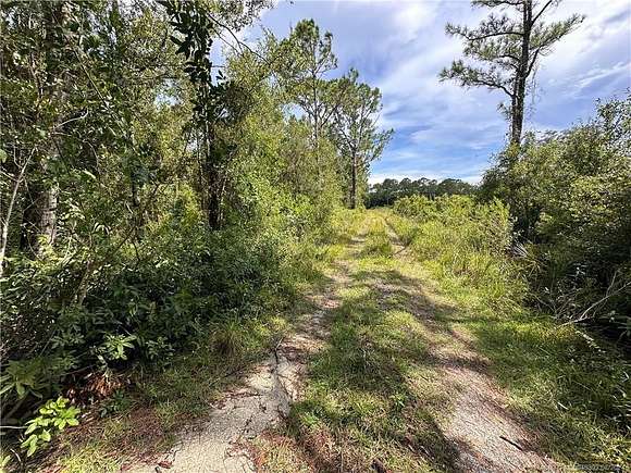 10 Acres of Residential Land for Sale in Okeechobee, Florida