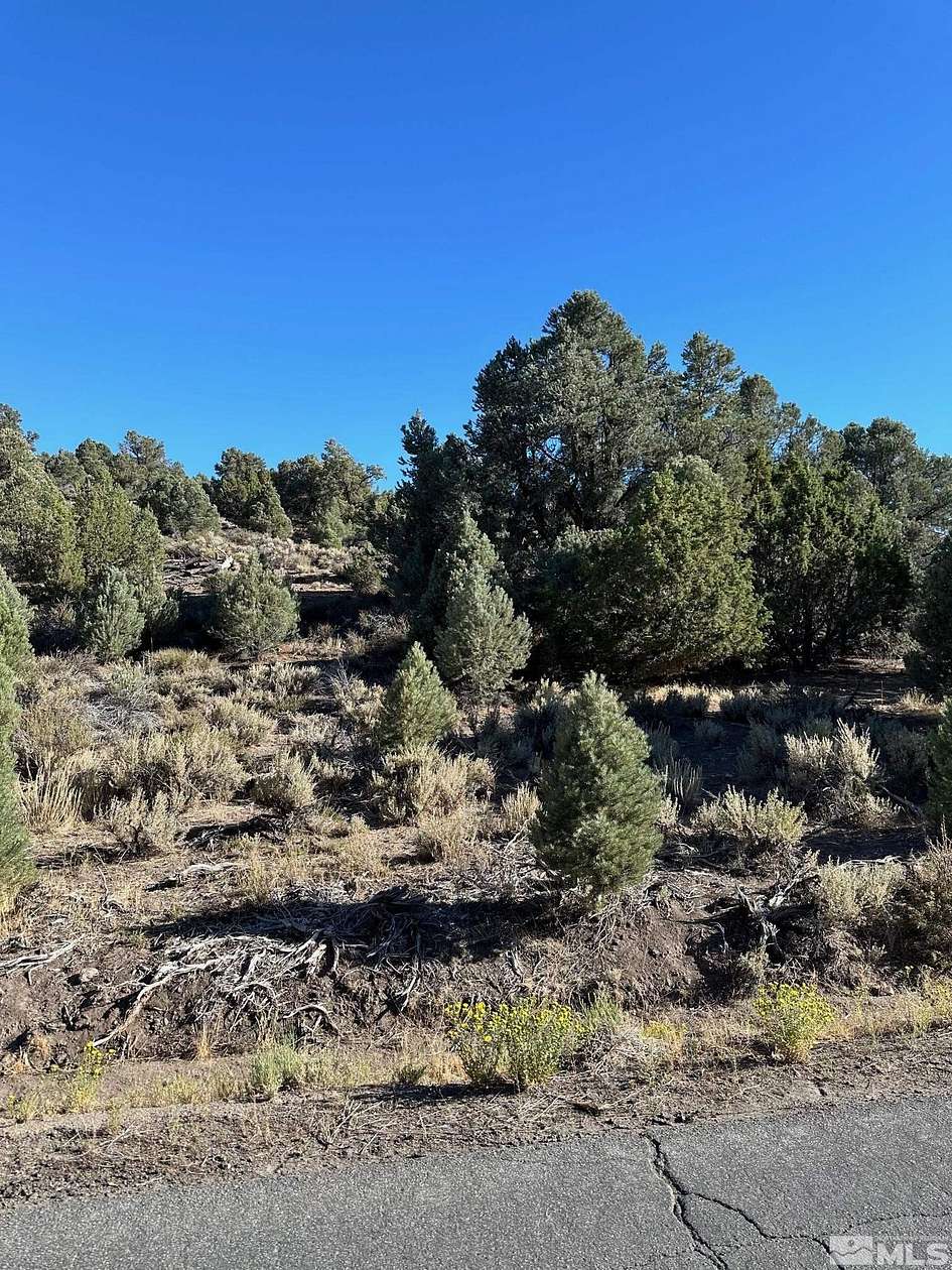 1 Acre of Residential Land for Sale in Reno, Nevada