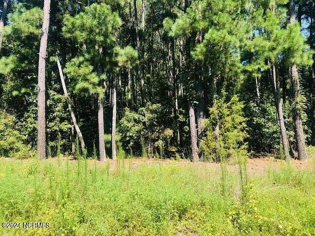 0.51 Acres of Land for Sale in Tyner, North Carolina