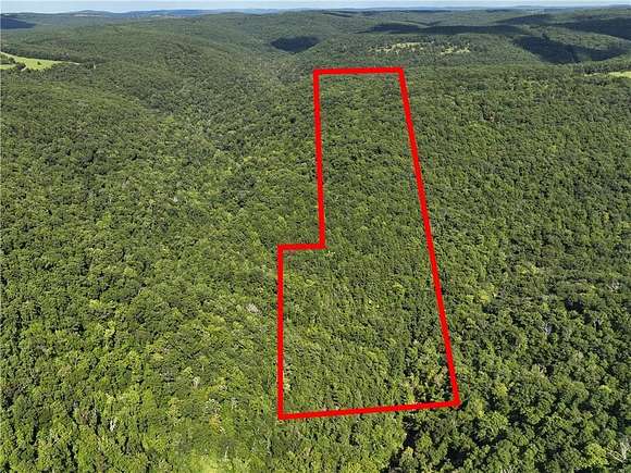 67.58 Acres of Recreational Land for Sale in Deer, Arkansas