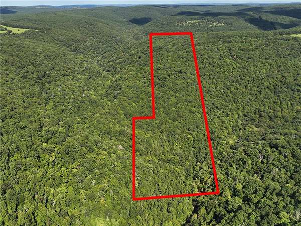 67.6 Acres of Recreational Land for Sale in Deer, Arkansas