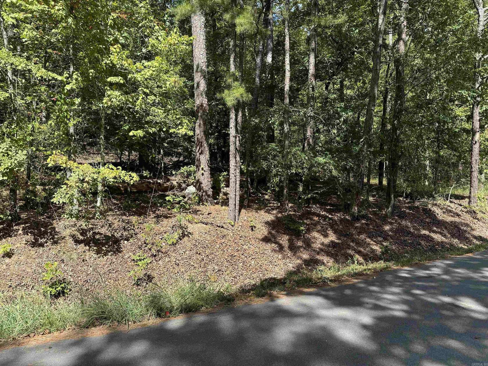 0.25 Acres of Residential Land for Sale in Hot Springs Village, Arkansas