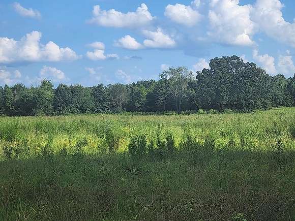 72.41 Acres of Land for Sale in Big Sandy, Tennessee