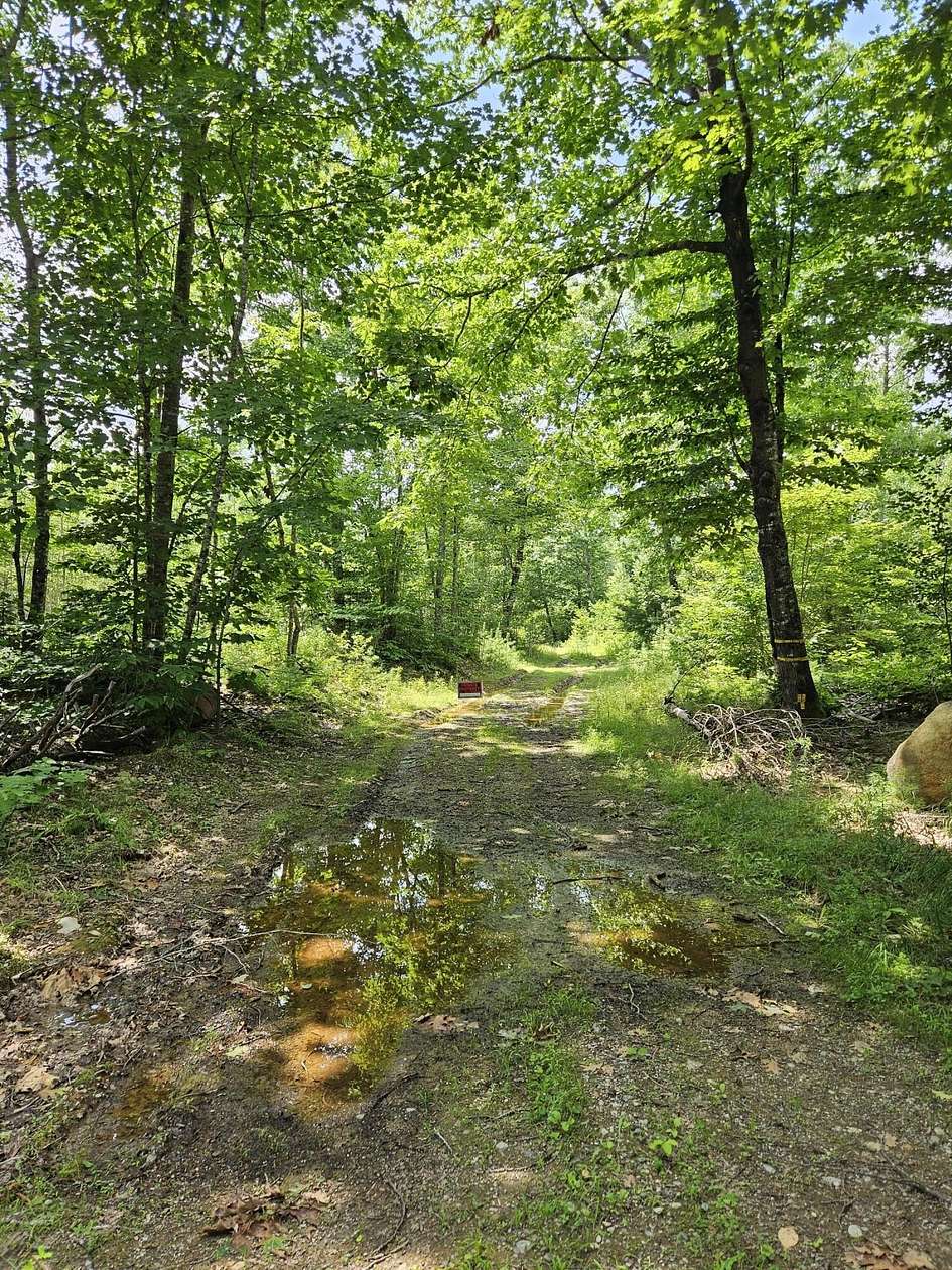 100.6 Acres of Land for Sale in Bradford, Maine