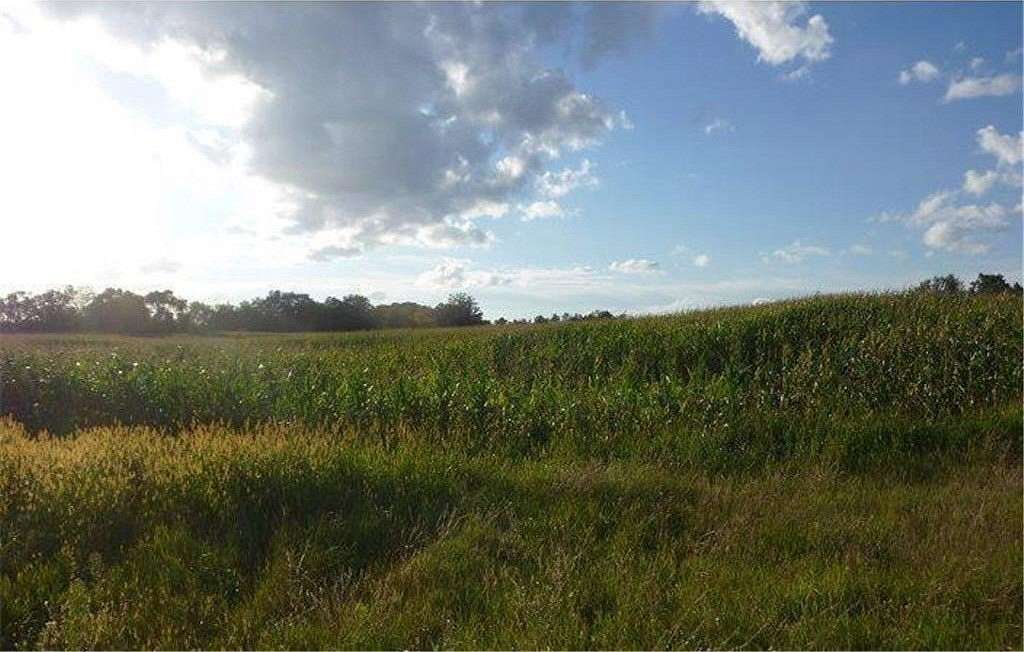 19.39 Acres of Land for Sale in Nowthen, Minnesota