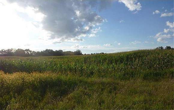 19.39 Acres of Land for Sale in Nowthen, Minnesota