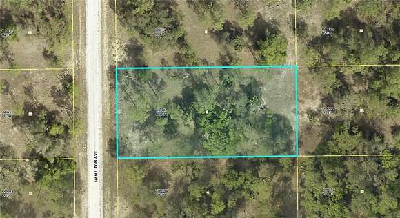 0.5 Acres of Residential Land for Sale in Lehigh Acres, Florida