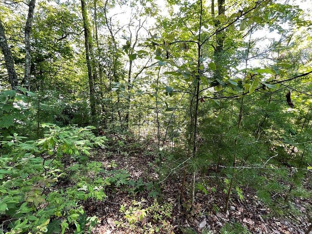 3.452 Acres of Land for Sale in Hiawassee, Georgia