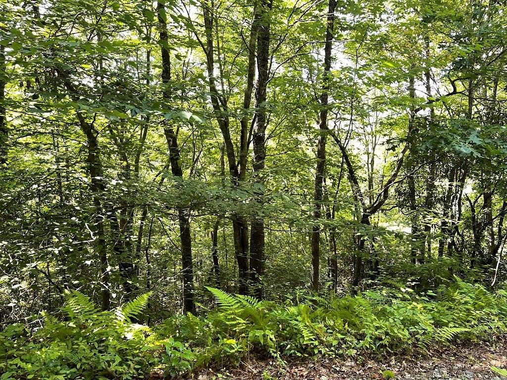 1.32 Acres of Land for Sale in Hiawassee, Georgia