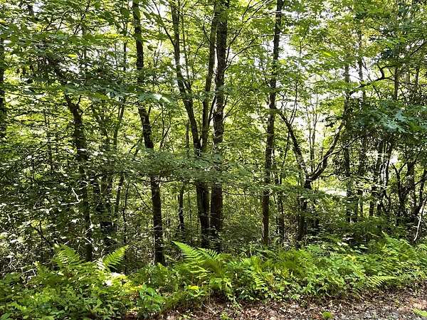 1.32 Acres of Land for Sale in Hiawassee, Georgia