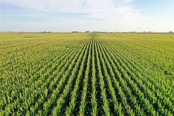 80 Acres of Agricultural Land for Auction in Paton, Iowa