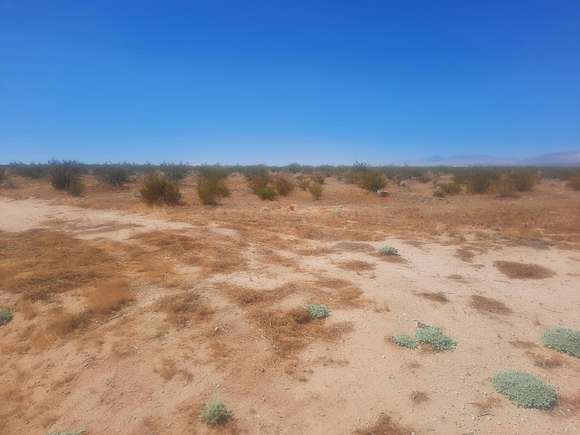 Land for Sale in California City, California