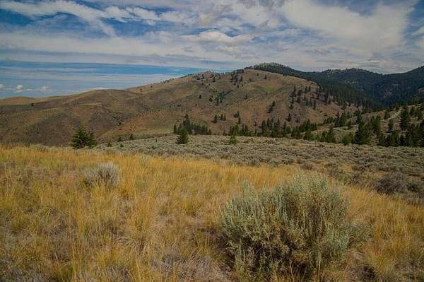 23.3 Acres of Land for Sale in Florence, Montana