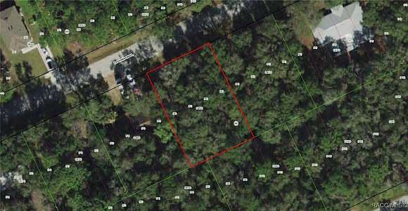 0.22 Acres of Residential Land for Sale in Inverness, Florida