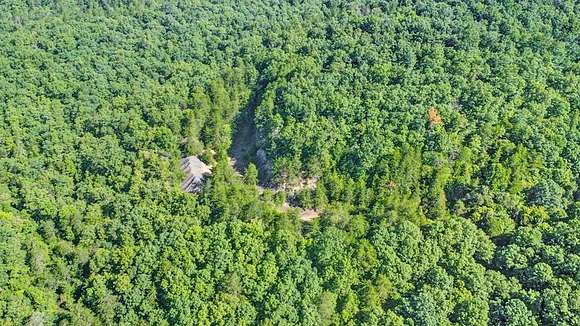 127 Acres of Land for Sale in Wilder, Tennessee