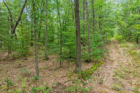 Residential Land for Sale in Pierson, Michigan