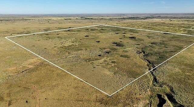 160 Acres of Land for Sale in Shamrock, Texas