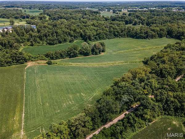 62.4 Acres of Agricultural & Residential Land for Sale in Alton, Illinois
