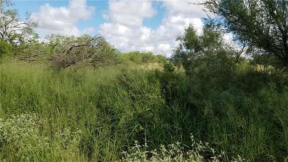 34.3 Acres of Land for Sale in Realitos, Texas