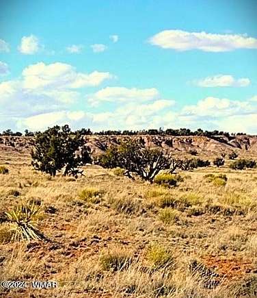 38.78 Acres of Land for Sale in St. Johns, Arizona