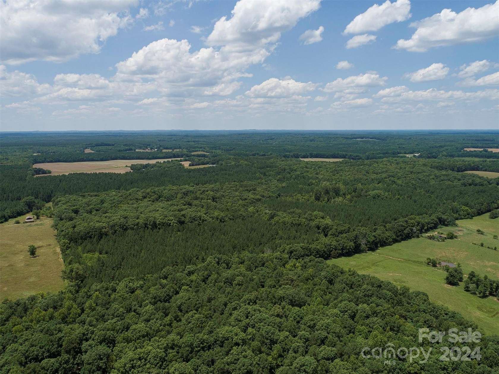 97.2 Acres of Land for Sale in Richfield, North Carolina