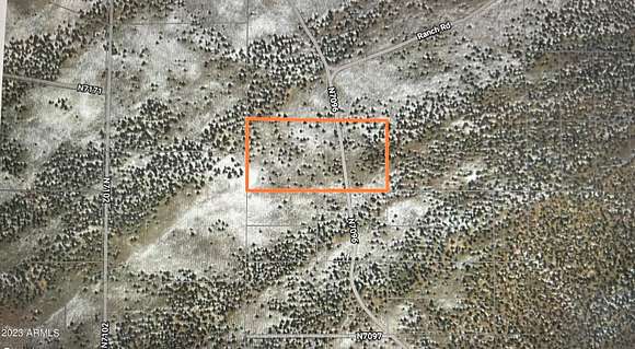 19.69 Acres of Recreational Land for Sale in St. Johns, Arizona