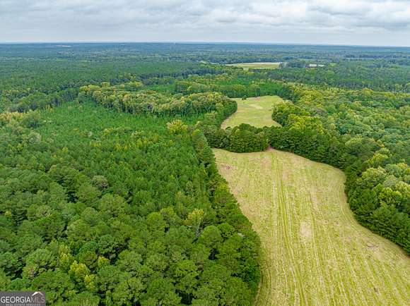 191.81 Acres of Recreational Land & Farm for Sale in Greensboro, Georgia