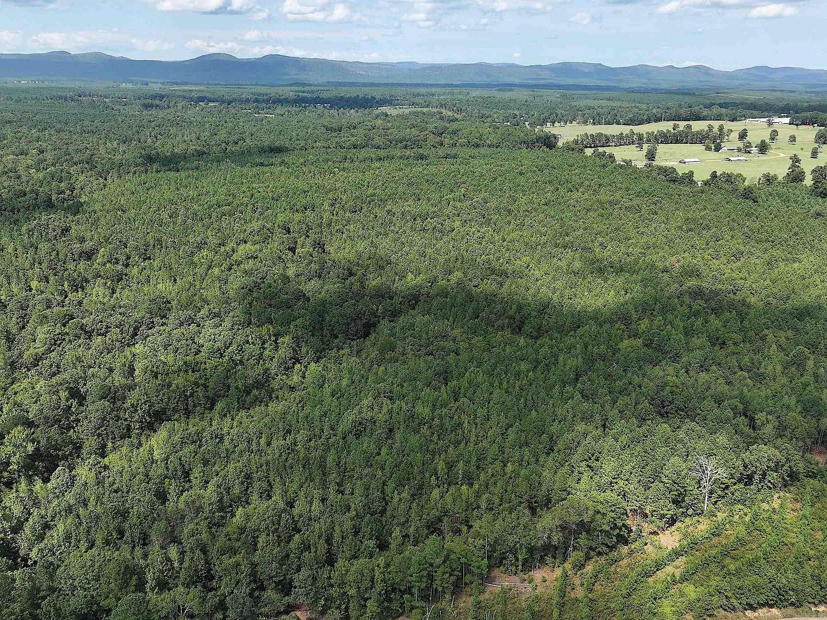 159 Acres of Recreational Land for Sale in Newhope, Arkansas