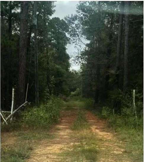 12.016 Acres of Land for Sale in Benton, Louisiana